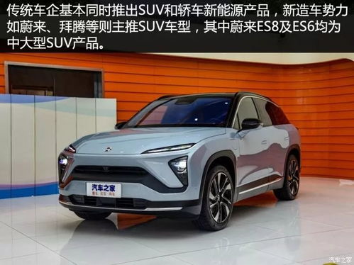 最全分析來了 一文讀懂2019年開年新能源汽車整車銷售市場(chǎng)
