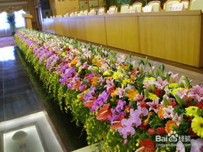 深圳花木租擺與園林綠化施工養護的要點解析